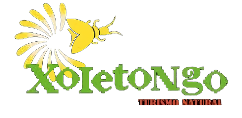 xoletongo
